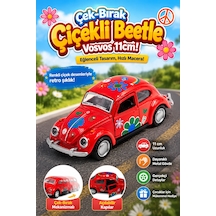 Çok Renkli