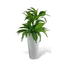 Yapay Çiçek Yukka Sarı Damarlı Salon Bitkisi Beyaz Uzun Kumsal Vazoda 120cm 60yaprak