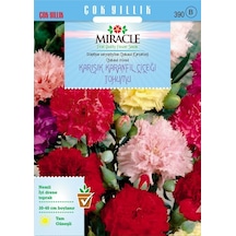 Miracle Chabaud Mixed Karışık Renkli Karanfil Çiçeği Tohumu 190