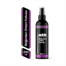 Edde Böğürtlen Kokulu Araba Araç Oto Ortam Kokusu Araç Içi Kokuları Oto Parfümü 250 Ml Oto Detailing 250ml