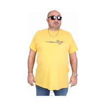 Sarı