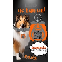Petjoo 23.Lad Turuncu-Gri Qr'lı Köpek Künyesi