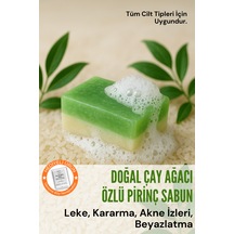 Çay Ağacı