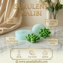 Mini Sukulent Kalıbı Mum, Taştozu