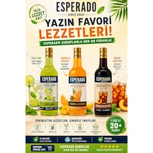 Şekersiz Cool Lime-mangoportakal-ice Tea Base -efsane Yaz Serisi 750 Ml X 3 Adet