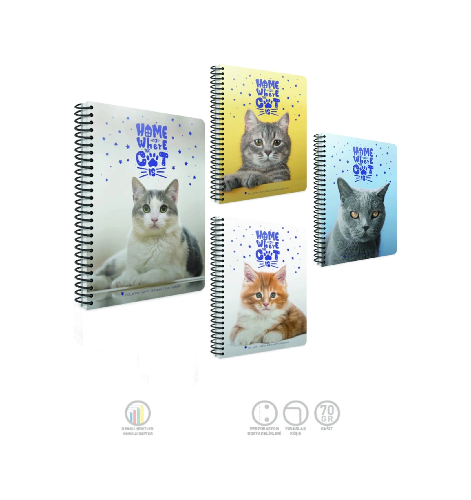 Cat-book Spiralli Plastik Kapak Defter A4 120 Yaprak Kareli 4 Lü Paket Kediler