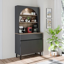 Antrasit - Atlantik Çam