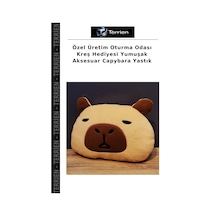 Özel Üretim Oturma Odası Kreş si Yumuşak Aksesuar Capybara Yastık Çok Renkli