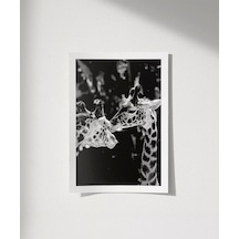Çerçevesiz Poster Uzun Boylu Aşk