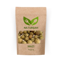 Naturşah Mazı Thuja Sp 50 Gr