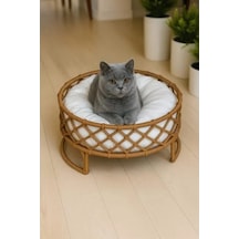 Ortopedik Yumuşak Kedi Yatağı, Tüm Irklar İçin Konforlu Tasarım Kahverengi Açik Mavi