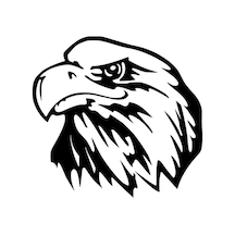 Byr002 Kartal Sticker Oto Motor Laptop Duvar Folyo Sticker 40x40 Cm Efsngrck