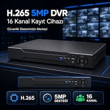 H.265 5mp 16 Kanal Dvr Güvenlik Kamerası Kayıt Cihazı