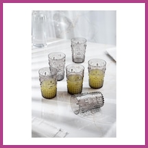 Gees Global Akrilik Füme 6'lı Kısa Bardak & Su Meşrubat Kahve Yanı Bardağı 400 Ml Cam Değildir Gbzs