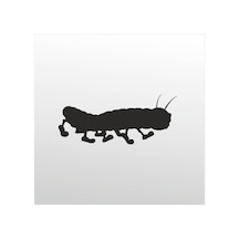 Folyo Sticker Tırtıl 130cm Uzunluk Siyah