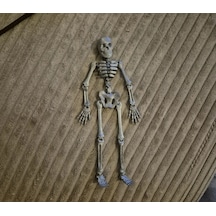 Oyuncak İskelet Model 13cm Pla Doğal Malzeme Balık