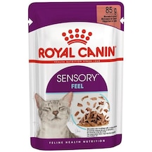 Royal Canin Sensory Feel Gravy Pouch Yetişkin Kedi Maması 85 G