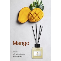 Mango Çubuklu Oda Kokusu 100 Ml Fresh