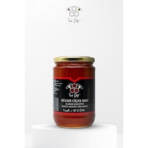 Toros Dağı Çakşır Balı 860 G