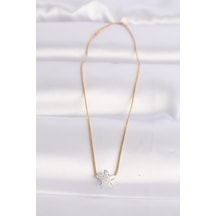 316l Çelik Zincir Altın Renk Zincirli Gümüş Renk Deniz Yıldızı Tasarımlı Kolye - Tj-bko8607