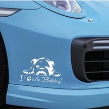 Fransız Bulldog Köpek Sticker Yapıştırma
