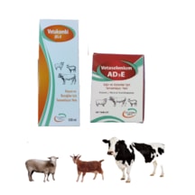 Koyun Ve Buzağılar İçin Vetakombi E Jel 100 Ml Ve Vetaselenium Ad