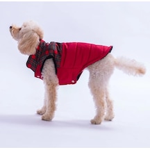 Pawstar Kırmızı Elgin Paws Su İtici Küçük Irk Köpek Puf Yelek Yağmurluk