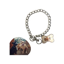 65 Cm Uzunlukta Zincir Model Köpek İçin Boyun Tasması Timya/go1395 201358