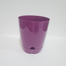 Plastik Tabaklı 20 Cm Saksı RENK