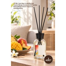 3 Adet Fruit Cascade Bambu Çubuklu Oda Kokusu 110 Ml Cam Şişe 4 Çubuklu Eşit Yayılım Mango Ananas Şeftali Vanilya Reed Diffuser Room Fragrance Diğer