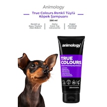 Animology True Colours Renkli Tüylü Köpekler İçin Özel Şampuan 250 Ml
