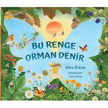 Bu Renge Orman Denir / 5 Yaş +