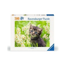 500p Puzzle Kedi Foto, Yapboz