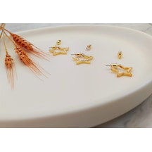 Yıldız 3'Lü Altın Kaplama Küpe Seti Altın