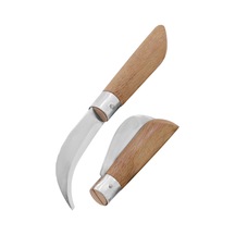 Aşı Bıçağı Bağ Bıçağı Paslanmaz Ceviz Aşı Çakısı 22cm No:3