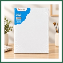Bezos 25x35 Tuval Bzs01 Çok Renkli
