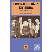 Fırtınalı Denizin Kıyısında - Aydın Akkoç - Ayrıntı Yayınları