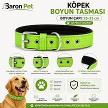 Pedli Köpek Boyun Tasması 26-33 Cm 2 Cm İçi Pedli Metal Tokalı D Halkalı - Fıstık Yeşili Çok Renkli