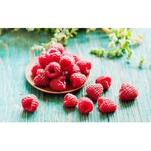 Bahçevilya 2 Adet Ahududu Fidanı Rubus İdaeus