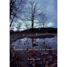 Trasvase De Palabras A Un Soneto Spanish Edition