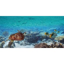 Yaleker Pvc Zemin Sticker 60x120 Cm - Kolay Yapıştır & Çıkar, Geleneksel Desenler, Ev Dekorasyonu Yenileme, 1 Adet Diğer Yaleker Pvc Zemin Sticker 60x120 Cm - Kolay Yapıştır & Çıkar, Geleneksel Desenler, Ev Dekorasyonu Yenileme, 1 Adet Diğer