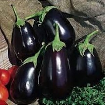 50 Adet Tohum Süper Paket Adana Yerli Köy Patlıcan Tohumu