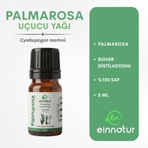 5 ML
