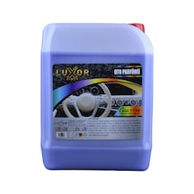 Luxor Kimya Böğürtlen Sakız Oto Kokusu 5 L