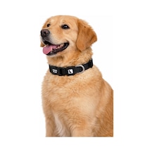 Swissplus Urban Paws Köpek Tasması Noir Black Ayarlanabilir, Dayanıklı, Hafif-10mm Siyah