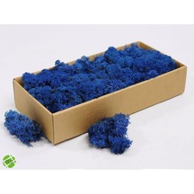 Trend Bahçe Reindeer Moss Mavi Şoklanmış Norveç Yosunu 500 G