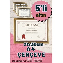 Altın-5 Adet A4 Çerçeve Diploma Belge Sertifika Fotoğraf Resim Çerçevesi Pvc 5 Li Altın