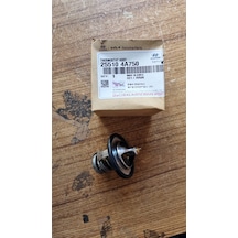 H100 12- Bongo 11- Termostat 255104a750