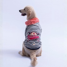 Pembe Seattle Pitch Orta-büyük Irk İçin Hoodie Köpek Sweatshirt Köpek Sweat Köpek Kıyafeti