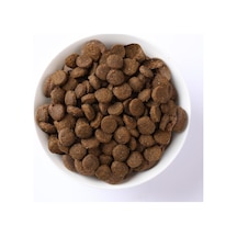 Tr N&d Pumpkin Kuru Köpek Maması, Tahılsız, Kuzu Ve Yabanmersinli, Yavru Köpek Medium Ve Maxi, 12 Kg